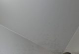 1000 liter tank in 304 stainless steel