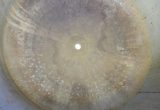 1000 liter tank in Acid-proof 316