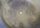 1000 liter tank in Acid-proof 316