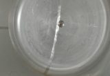 11800 liters tank in Stainless 304