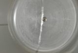 11800 liters tank in Stainless 304