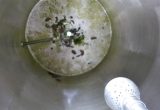 1200 liter tank in stainless steel 304