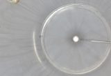 1285 liter tank in Stainless 304