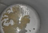 1495 liter tank in Acid-proof 316