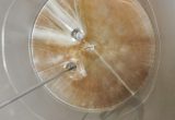 19000 liters tank in Stainless 304