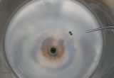 240 liter tank in 304 stainless steel
