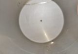 3000 liter tank in 304 stainless steel