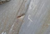 32000 liter tank in Acid-proof 316
