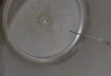 3500 liter tank in Acid-proof 316