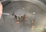 4000 liter tank in 304 stainless steel