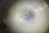44480 liters tank in Syrafast 316