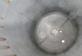 5400 liters tank in Stainless 304