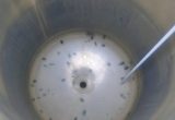600 liter tank in Acid-proof 316