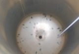 600 liter tank in Acid-proof 316