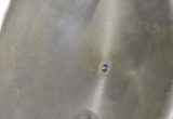 6800 liter tank in Acid-proof 316