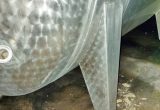 8840 liters tank in Stainless 304